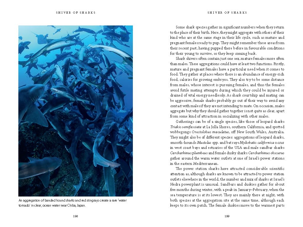 Sharks: Ocean Travellers