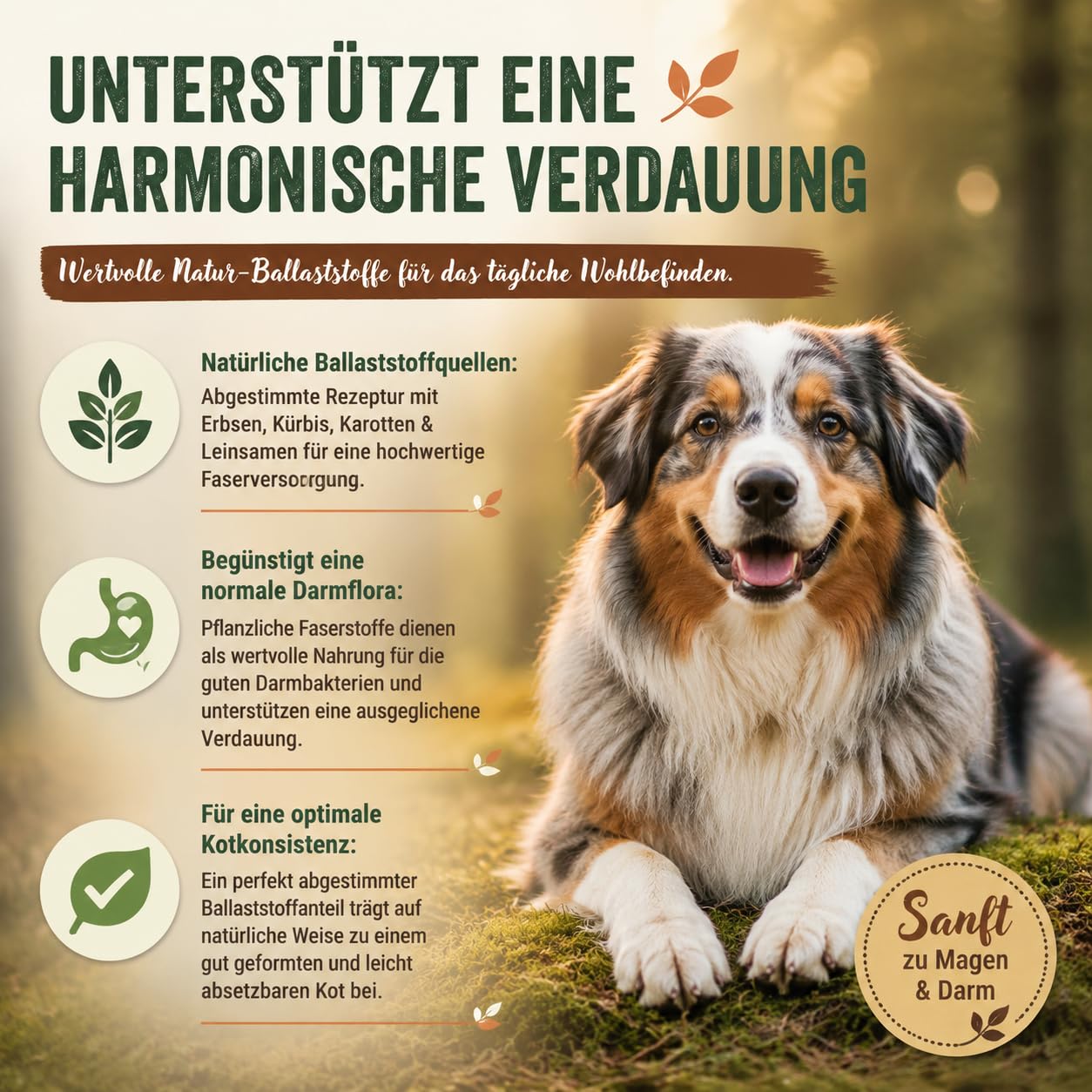 Freilandschaf 4x5kg - kaltgepresstes Trockenfutter - 25% Protein - mit Sanddorn & Moringa – hypoallergen - Ballaststoffreich für eine natürliche Darmunterstützung