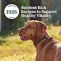 Vista 10 de Nutro Natural Choice - Alimento enlatado prémium para perros, comida húmeda para perros adultos, receta de carne de res, latas de 12.5 onzas