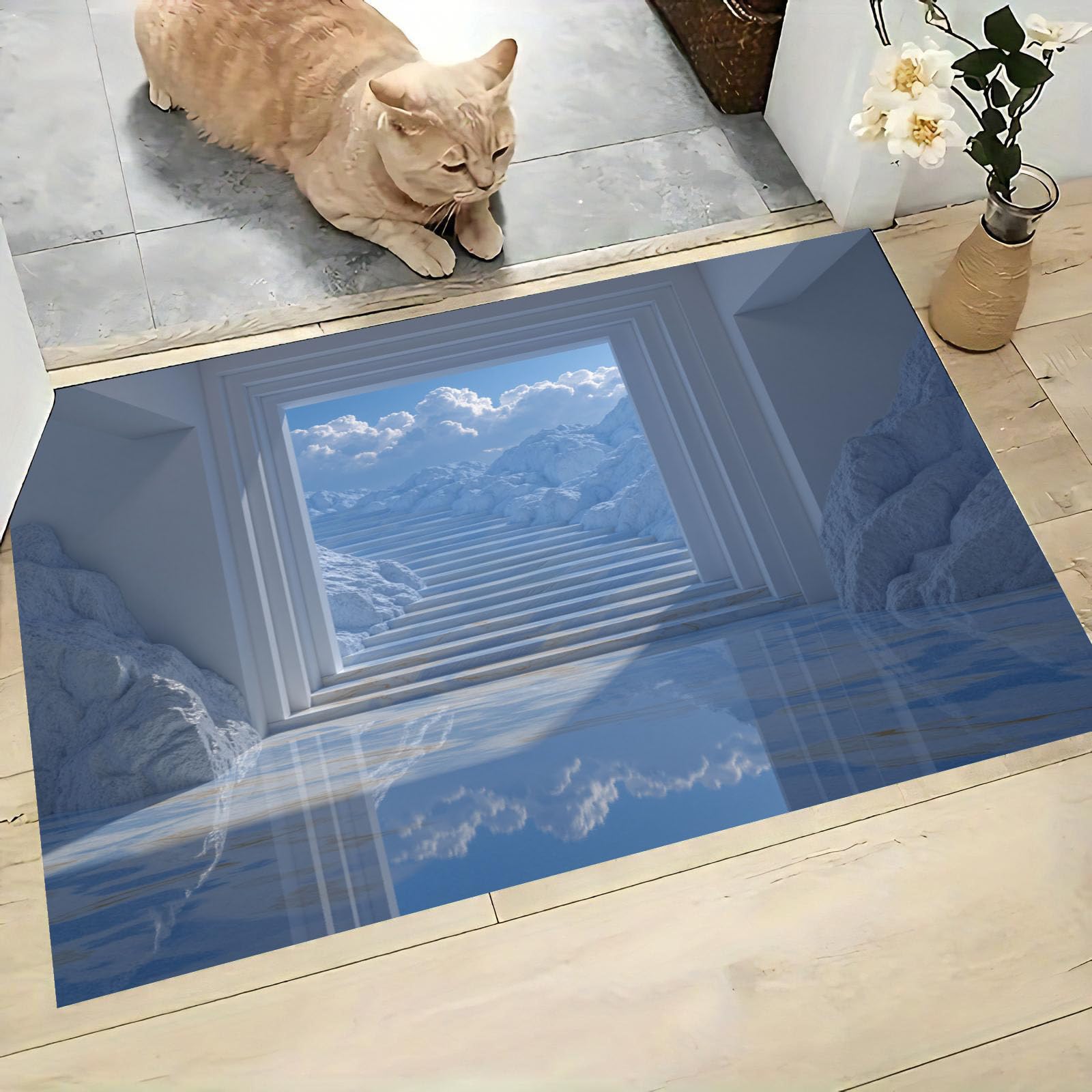 Paillasson intérieur illusion d'optique lavable et ultra plat pour porte