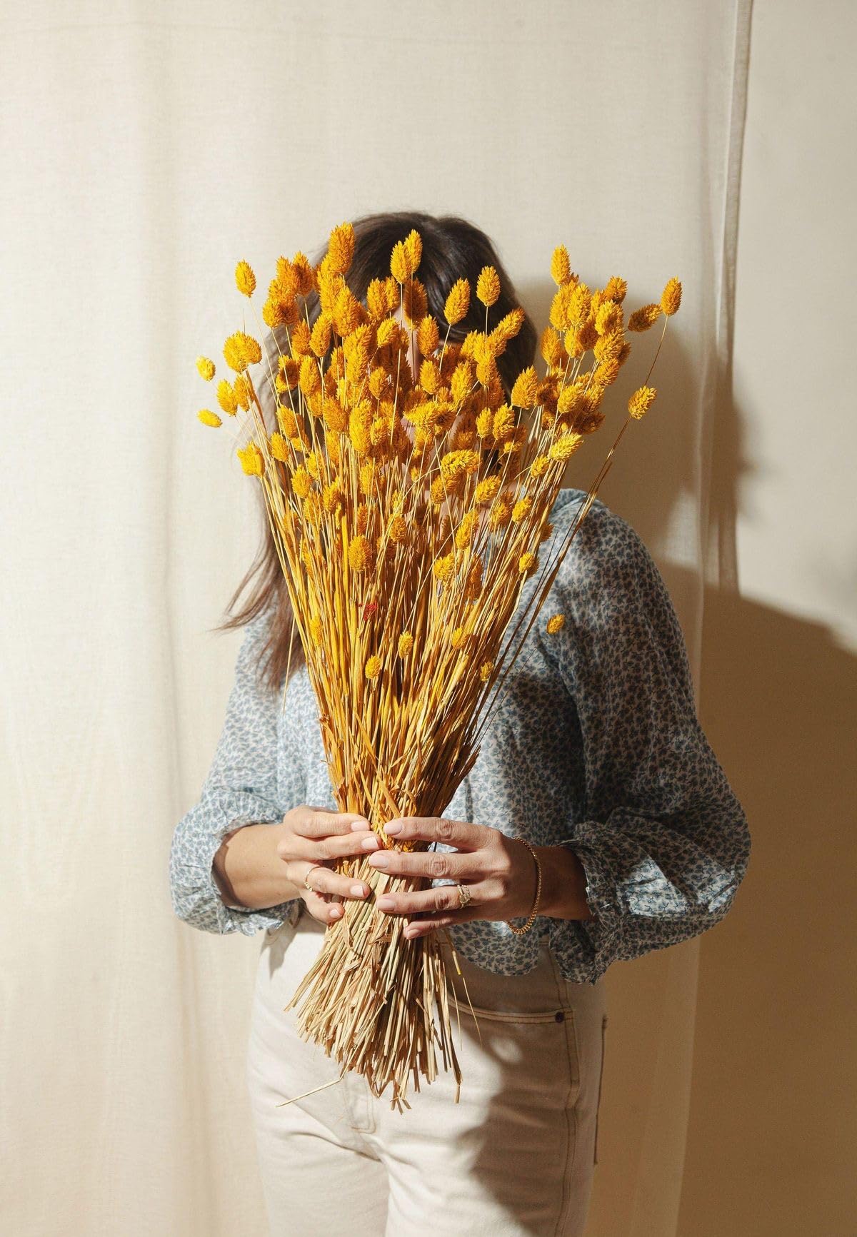 Arte Casa Natural Dried Phalaris Grass Bouquet Golden Yellow Decorative Dried Flowers for Home Decor Set of 30 Stems-image-43