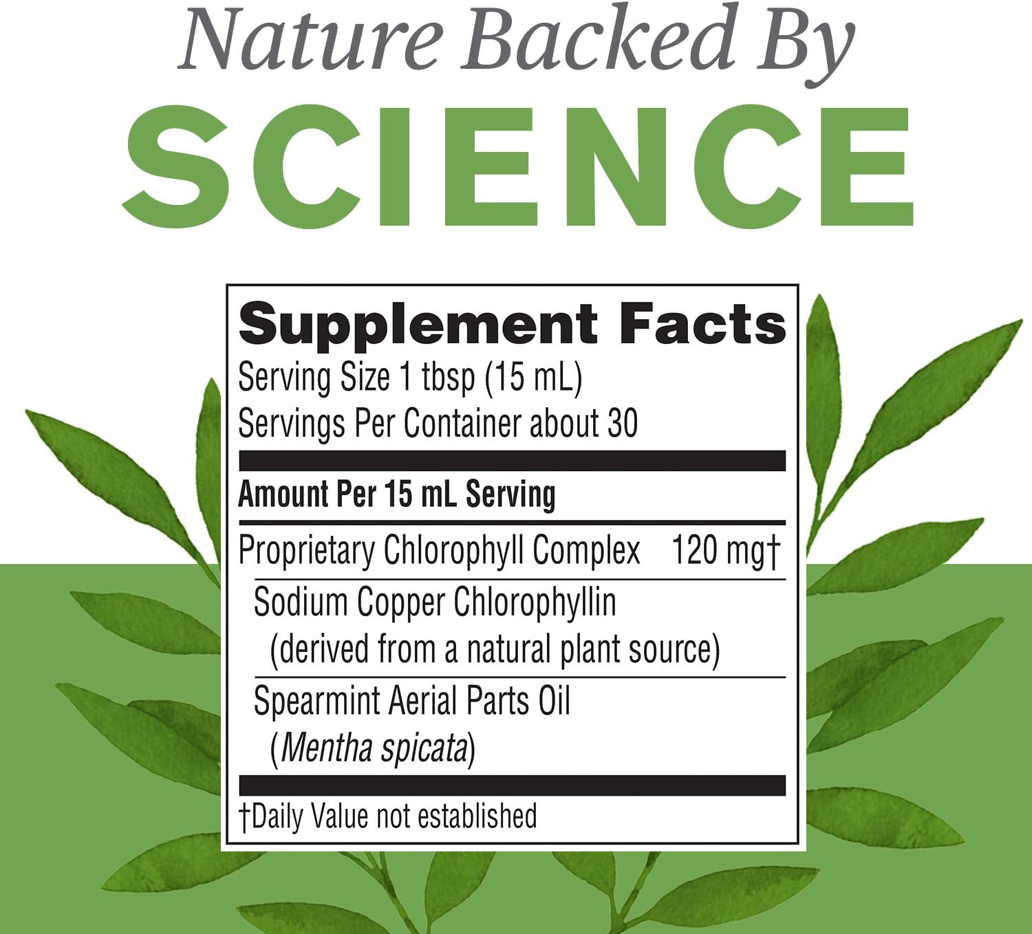 Buy Nature S Sunshine Chlorophyll Liquid Extra Strength 16 Fl Oz Kosher Fresh Mint Chlorophyllin Assists Detoxification And Provides Intestinal And Digestive System Support Online In Turkey B00cml0mvw