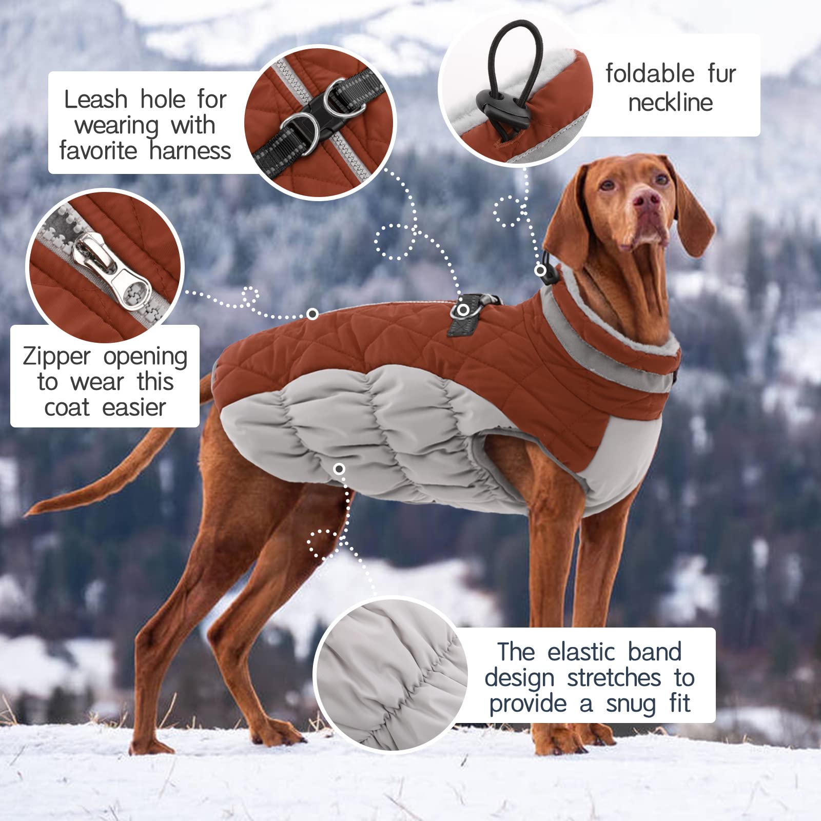 Kuoser Perros Abrigo, Impermeable Chaqueta arnes Perro de Invierno, 3XL | Perros Chaqueta impermeable, abrigo cálido de invierno con cremallera, tiras reflectantes y cordón ajustable para exteriores