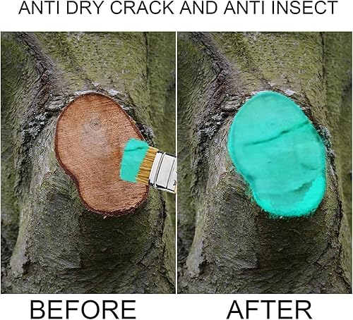 Miniatura 3 de Pasta de corte de poda de bonsái 3.5 oz (100g) - Apósito para heridas de árbol