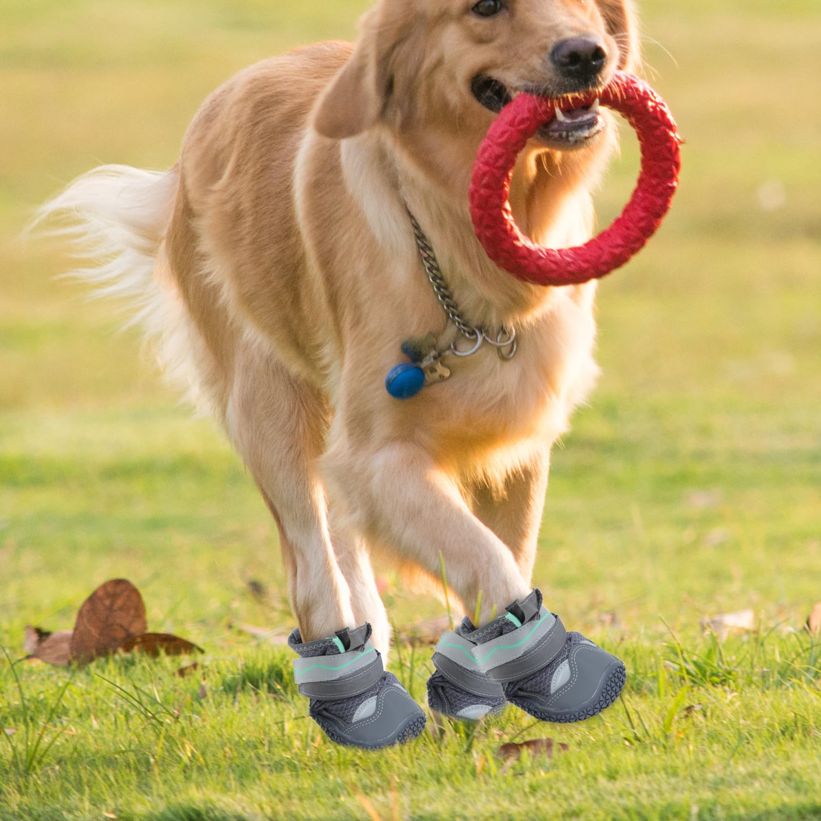 4 Piezas Botines para Perros Ligeros Antideslizantes de Goma Talla