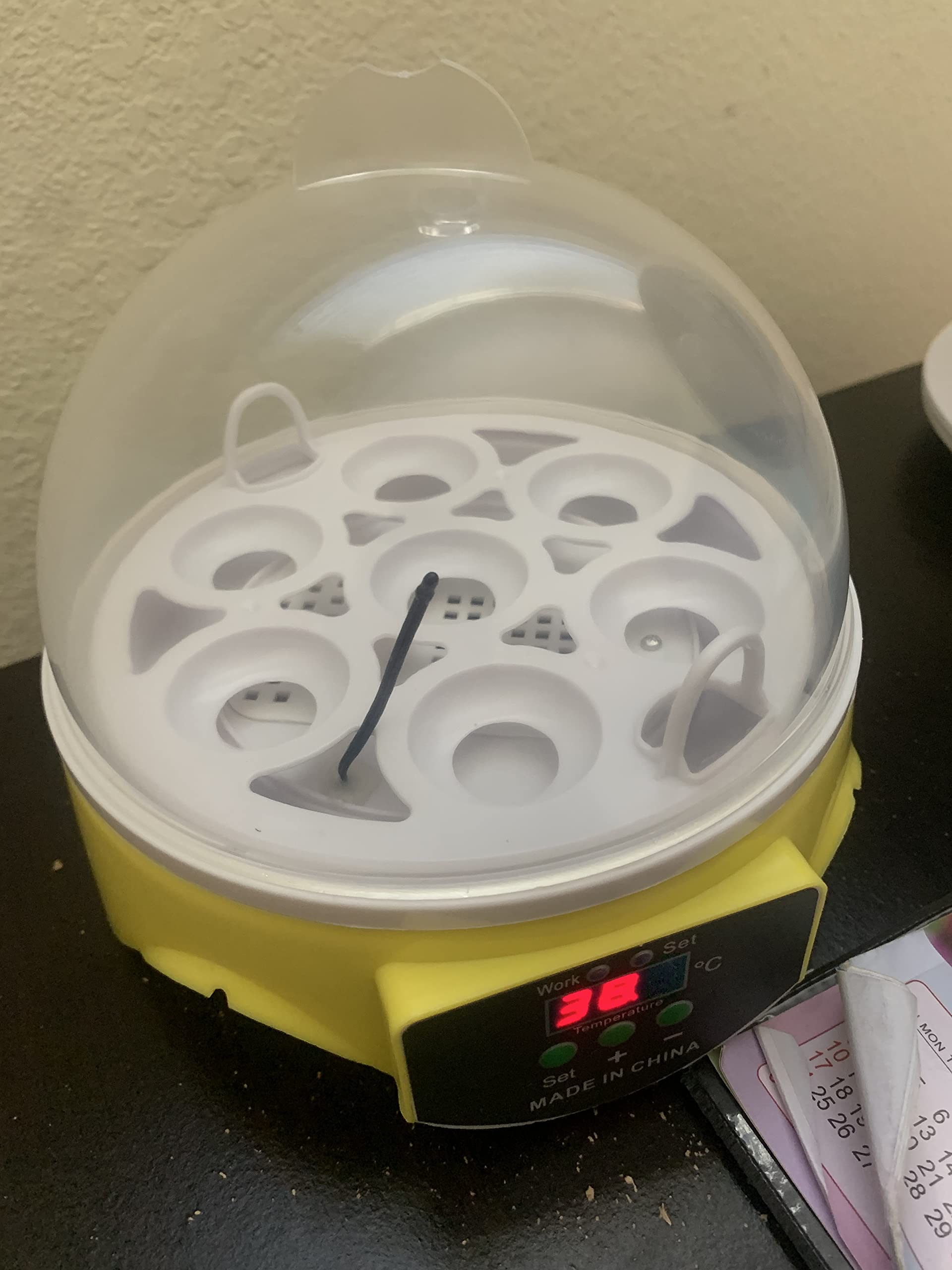 Mini incubateur d'œufs pour 7 œufs, Machine à couver avec contrôle de la température, Petits incubateurs pour Poulets, cailles, Oiseaux