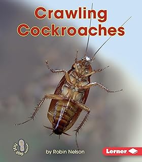 Crawling Cockroaches (First Step Nonfiction ― Backyard Critters)