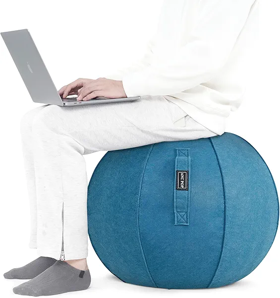 ANC POP Yoga Ball Exercise Ball, Anti Slip Stability Ball Chair, 25” Heavy Duty Large Gym Ball for Fitness, Balance and Core Workout with Cover, Easy Clean