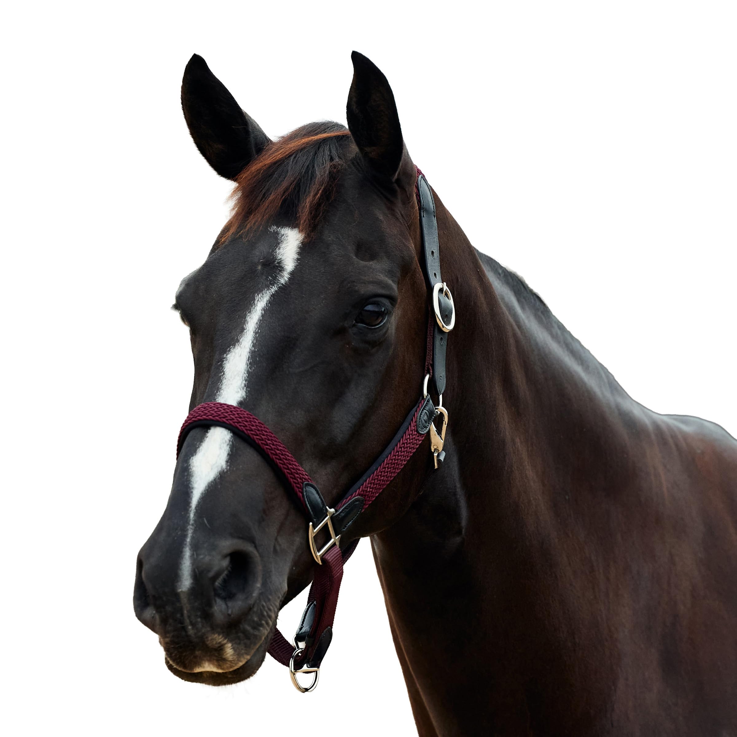 Dublin Braided Leather Headcollar, Burgundy, Cob