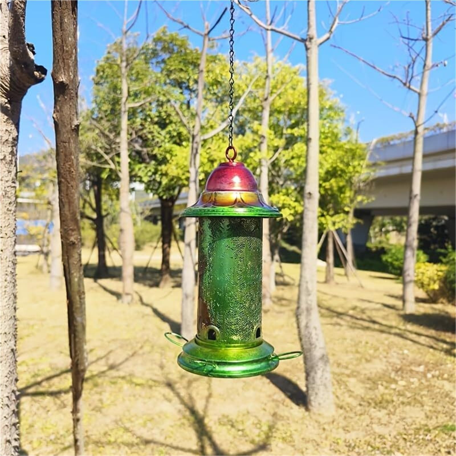 Mangiatoia for uccelli in ferro dal design a lanterna sospesa, contenitore for semi di uccelli selvatici da esterno con base verde in rete metallica for giardino