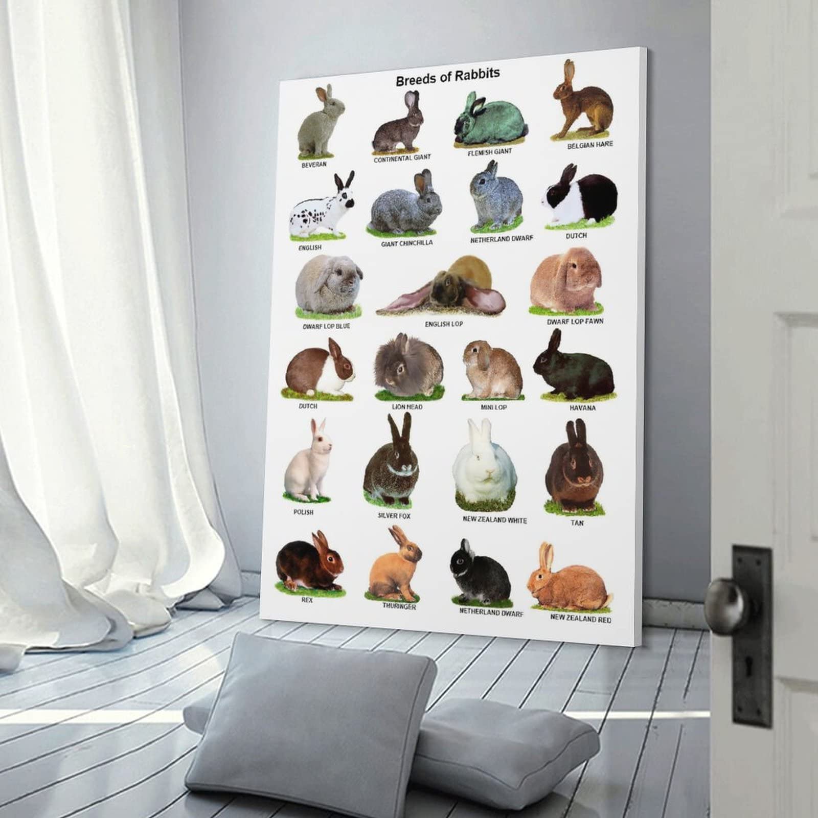TNND - Poster Razze dei conigli Conoscenze per la casa, decorazione da parete, in metallo, 20 x 30 cm