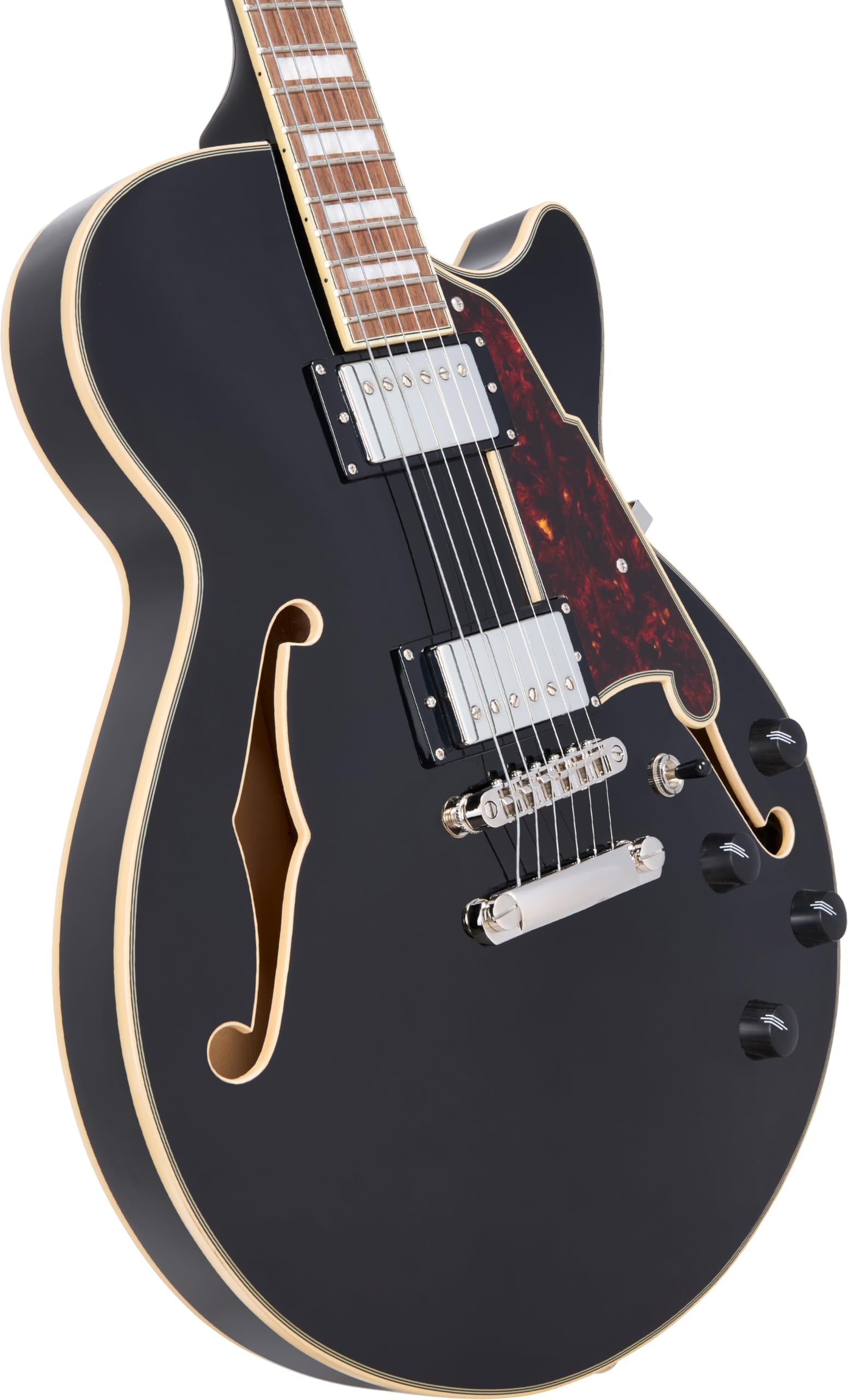 Amazon.com: D'Angelico Premier SS Semi-hollow Electric