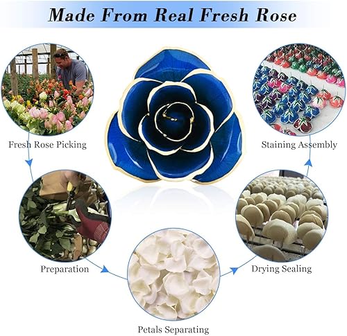 Miniatura 2 de Ejoyous Rosa de oro de 24 quilates con tallo largo, rosa fresca sumergida en oro, rosa floreciente para siempre con caja de regalo, regalo para