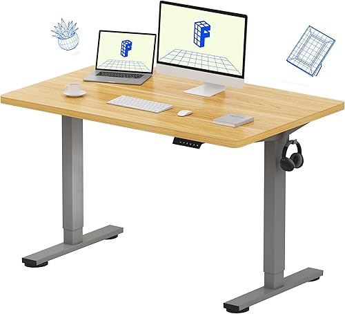 FLEXISPOT Escritorio de altura ajustable de 48 x 30 pulgadas, escritorio eléctrico de pie de una pieza, escritorio de pie para oficina en casa