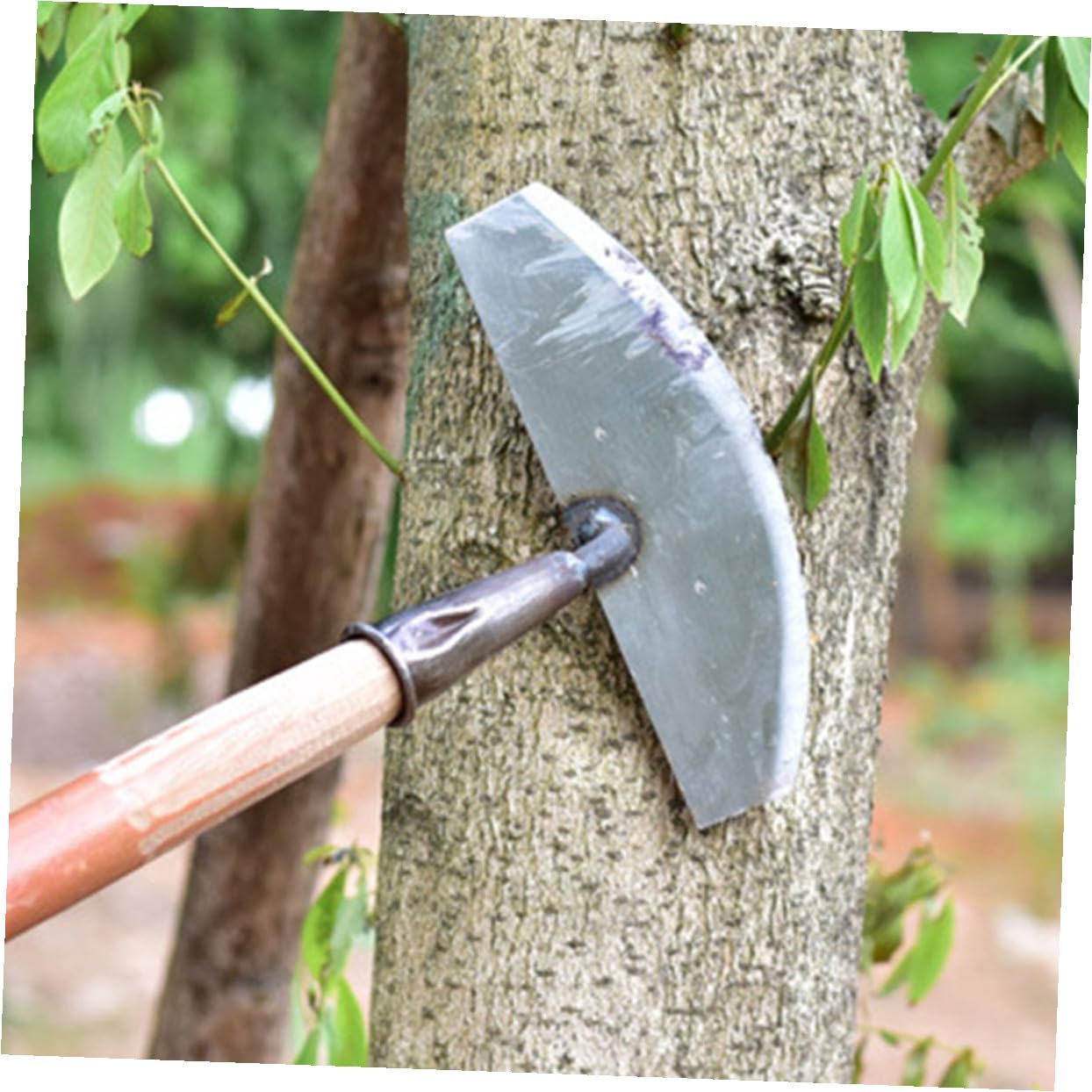 ifundom 3 Stück Unkrautschaufel Gartenhandwerkzeug Unkrautstecher Unkrautentferner Grasentferner Kleines Unkrautwerkzeug Gartenhandwerkzeug Silberstahl