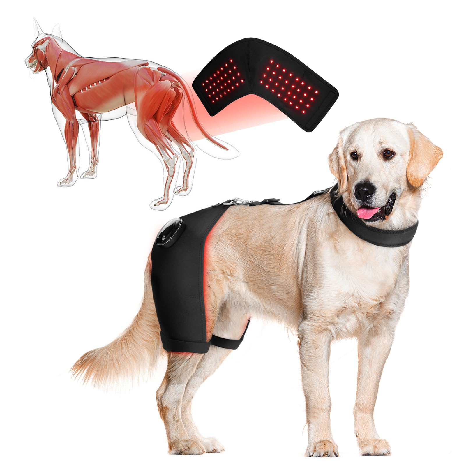 HAGGEMI Dog Hip Brace with Red Infrared Light Therapy – Pain Relief for Arthritis, Hip Dysplasia, Spine Issues & Muscle Recovery, Portable & Cordless(Male Dog, XL)