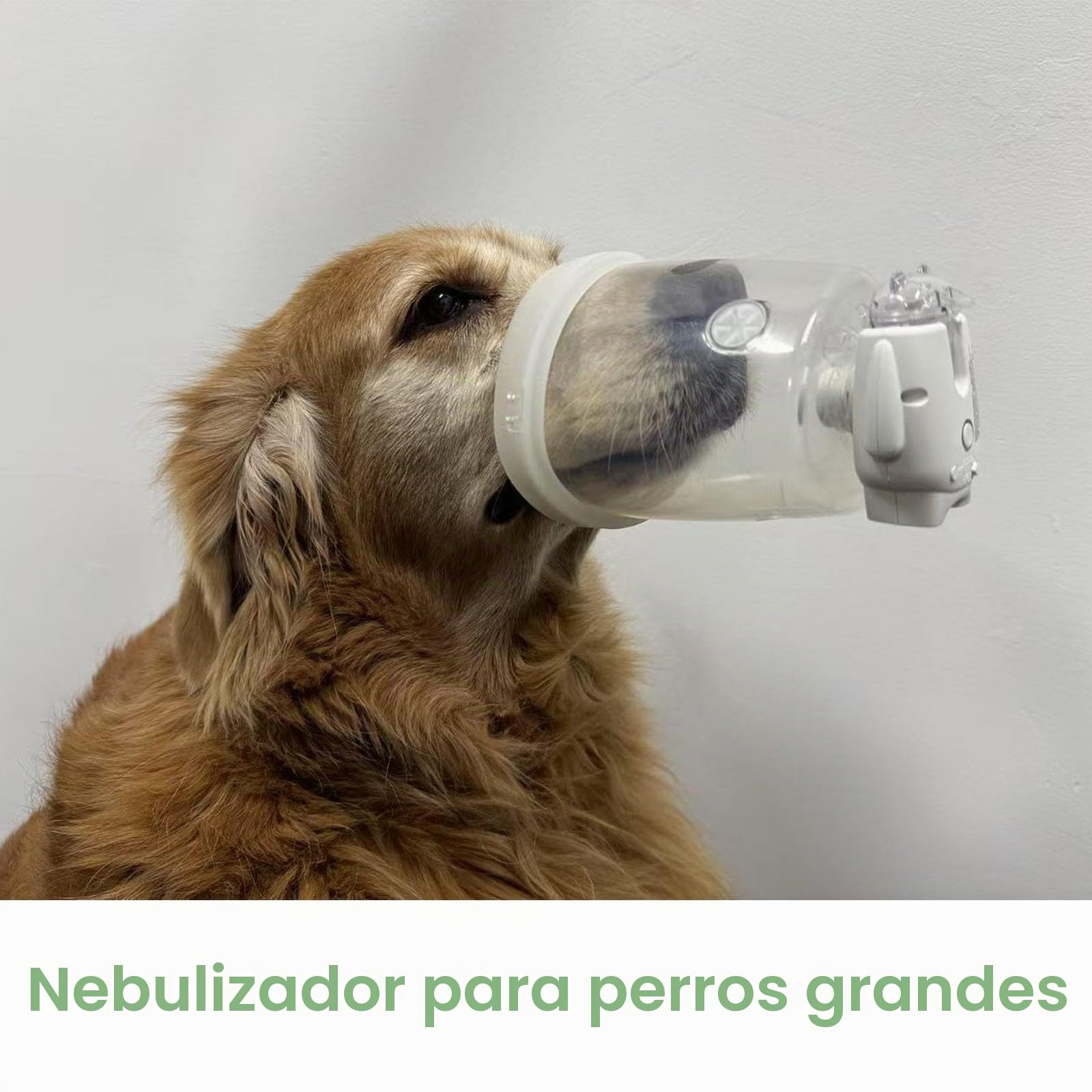Nebulizador para Mascotas Grandes, nebulizador para Perros y mascarilla de inhalación para Perros Grandes, silencioso y Ligero(L).