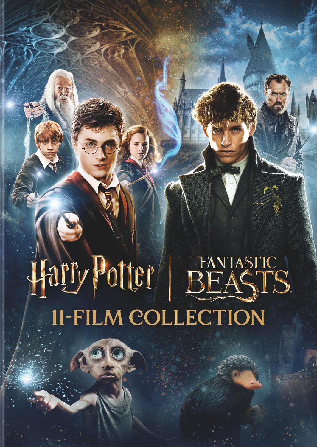 Amazon.com: Harry Potter and Fantastic Beasts 11-Film Collection (DVD)