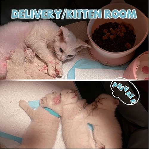 Miniatura 4 de Corralito portátil para mascotas, corralito plegable para mascotas, corralito de ejercicio para mascotas, tienda de campaña, casa para gatos, para