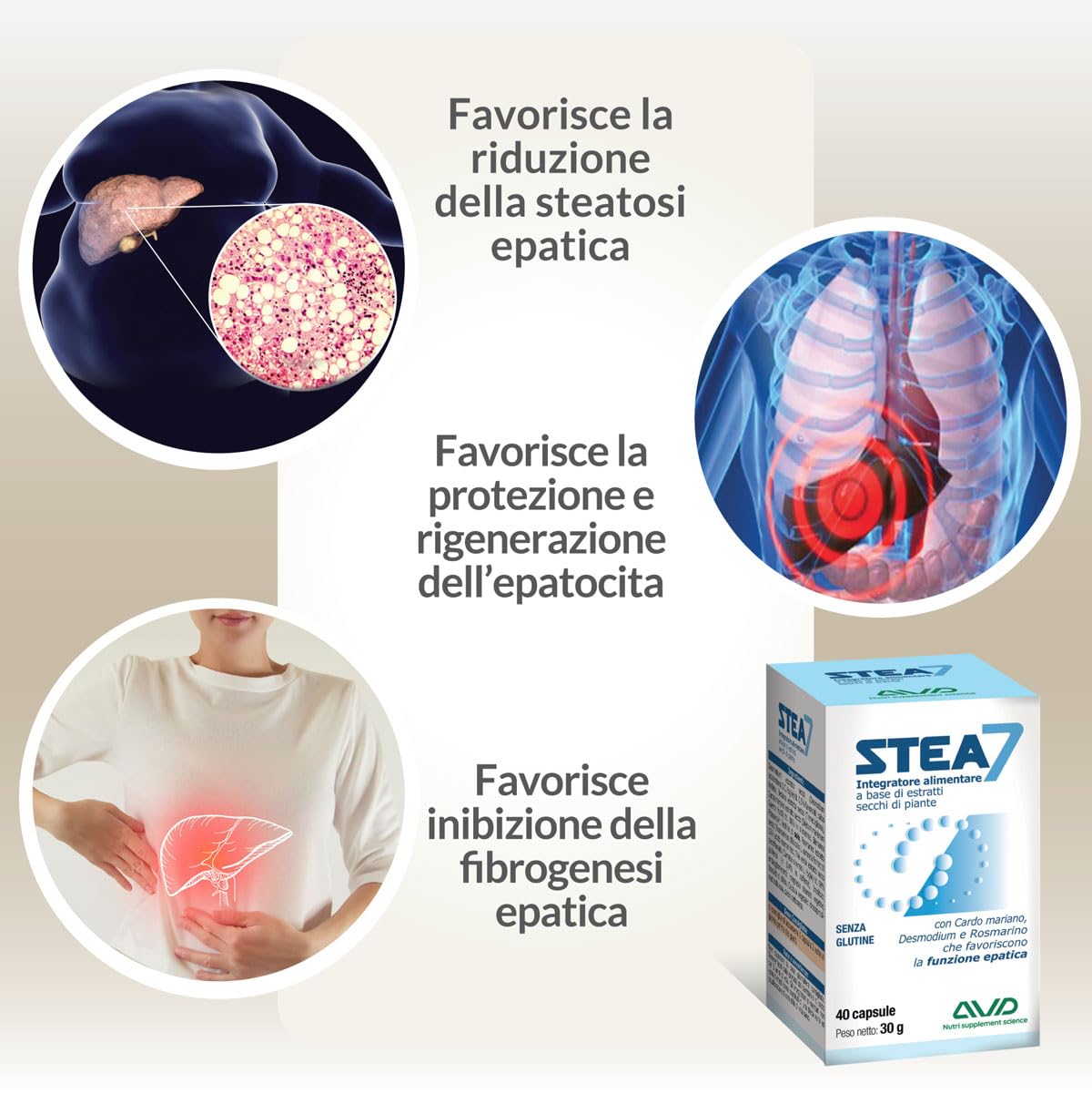 AVD REFORM | Stea7 – Integratore alimentare per la funzionalità epatica e il benessere del fegato con estratti vegetali selezionati – 40 capsule – Prodotto in Italia