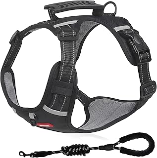 Hundegeschirr Mittelgroße Hunde, Anti Zieh Zug Geschirr für Hund mit Hundeleine und Antiziehgeschirr, Hundegeschirre Brustgeschirr No Pull Gepolstert Y Grosse Mittel Kleine Dog Harness (Schwarz, M)