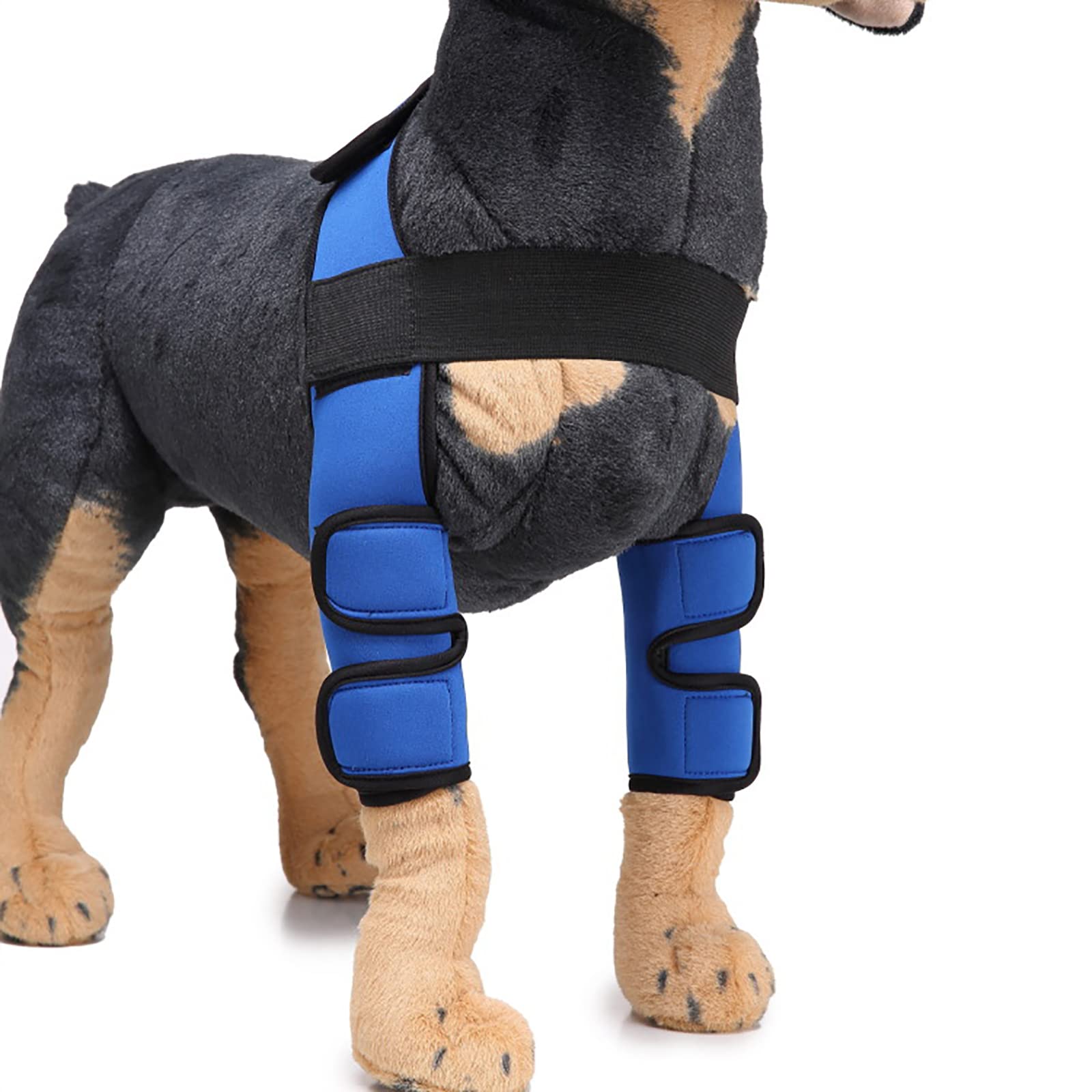 Manchon de récupération pour chien après une chirurgie, attelle de jambe avant réglable pour chien, support de compression de patte canine, épaule, protège les plaies pour la guérison, prévient les