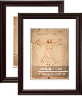 12x16 Mahogany Beveled Design Ornate Classic Picture Frame, Matted to 9x12 inches, Plexiglass Cover, Vertical or Horizontal Wall Mount Display, 2 Pack