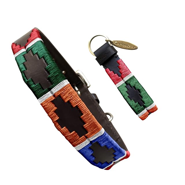 Carlos Diaz Collar de Perro Premium Bordado y Encerado Estilo Polo de Cuero Genuino XXS
