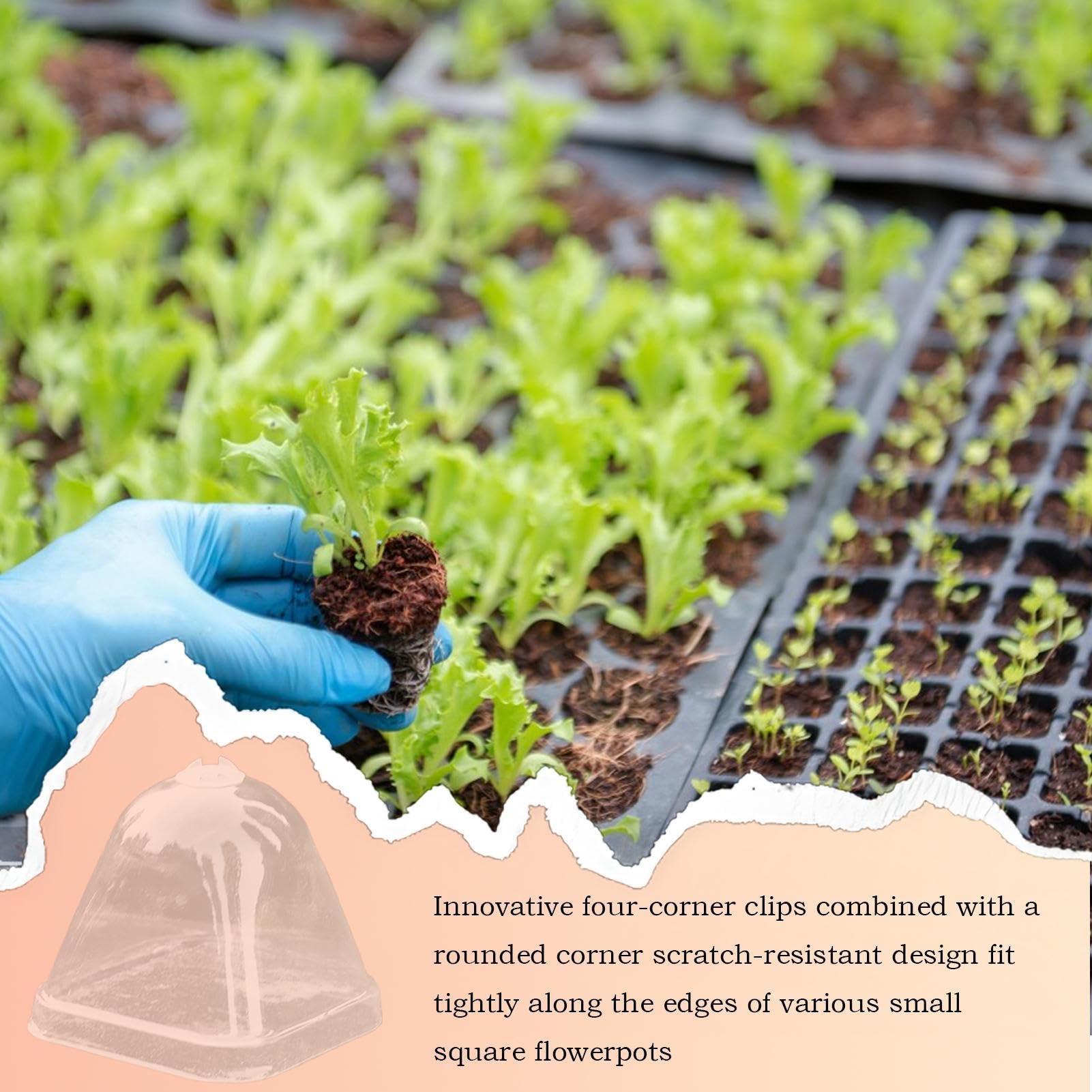 Funda Mini para Macetas - Cubierta Protectora Transparente para Plantas | Tapa Hidratante 10X Humedad Impermeable para Invernadero Cultivo De Suculentas Protección Lluvia Vivero Plantación