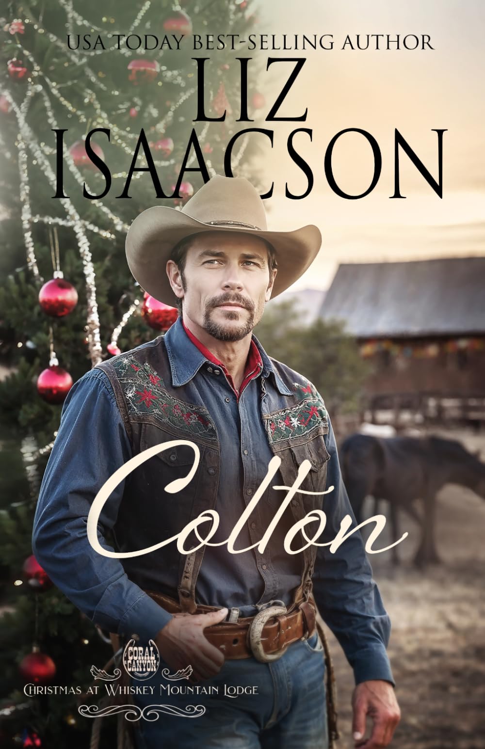 Colton: Un Romanzo dei Fratelli Hammond (Natale al Lodge di Monte Whiskey)