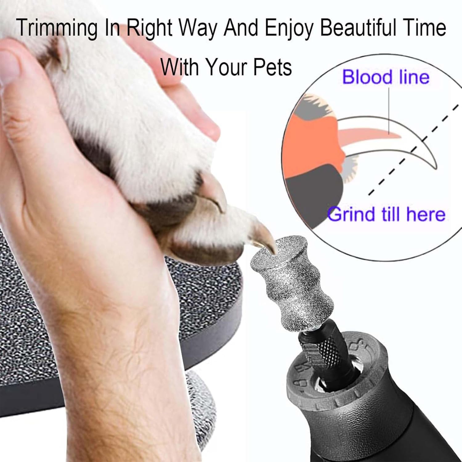 2 Pack Diamond Rotary Grinder Bits for Dogs - Pet Nail Grinder Attachment - 1/8" Replacement Grinder Wheel for Dremel - Pet Nail File & Clippers for Medium & Large Dogs (XL)