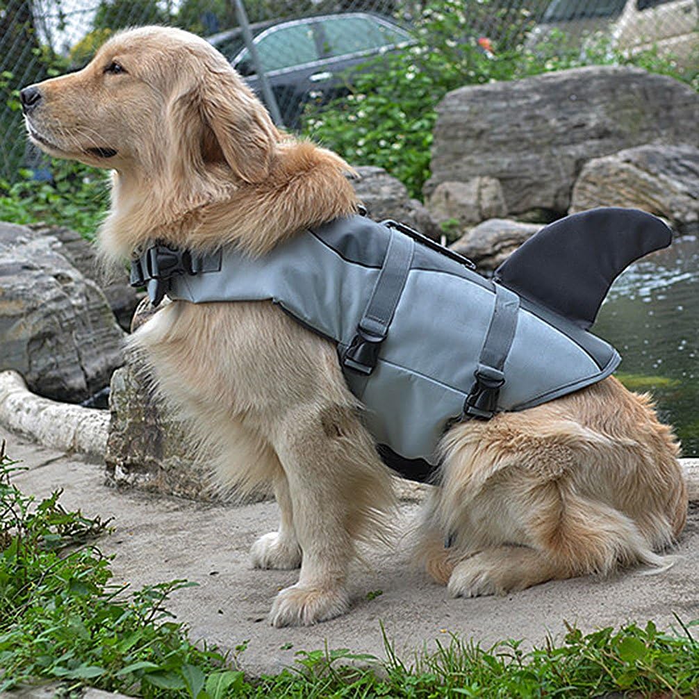 Ranphy Dog Life Vest Swimsuit Shark Fin Dog Life Jacket for Small Medium Large Breed Pet Neoprene Flotation Coat Puppy Life Preserver Safety with Rescue Handle D-Ring Adjustable for Swimming Size L