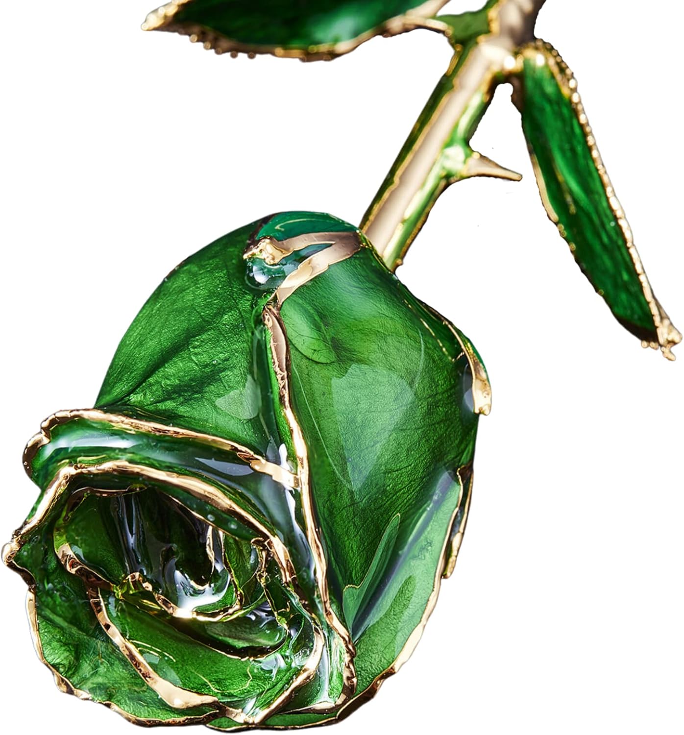 Eternal Rose Pearl Collection - Real 24k Gold Dipped Rose - Gift for Her (Eternal Jade)