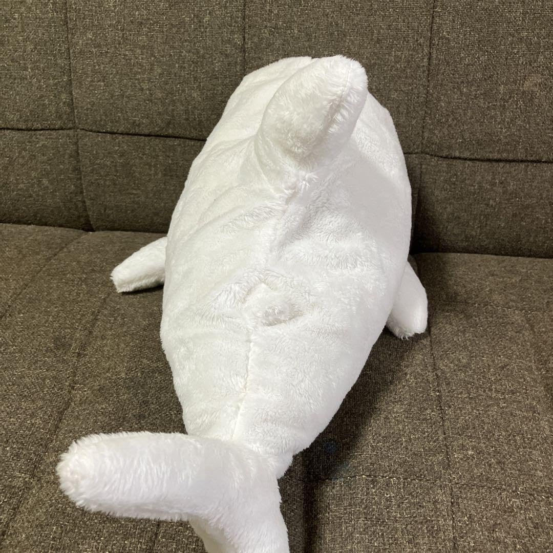 HYPE ぬいぐるみ 白 Amazon.co.jp: ☆サメぬいぐるみ 白サメ ☆CUTEサメ BIGシャーク