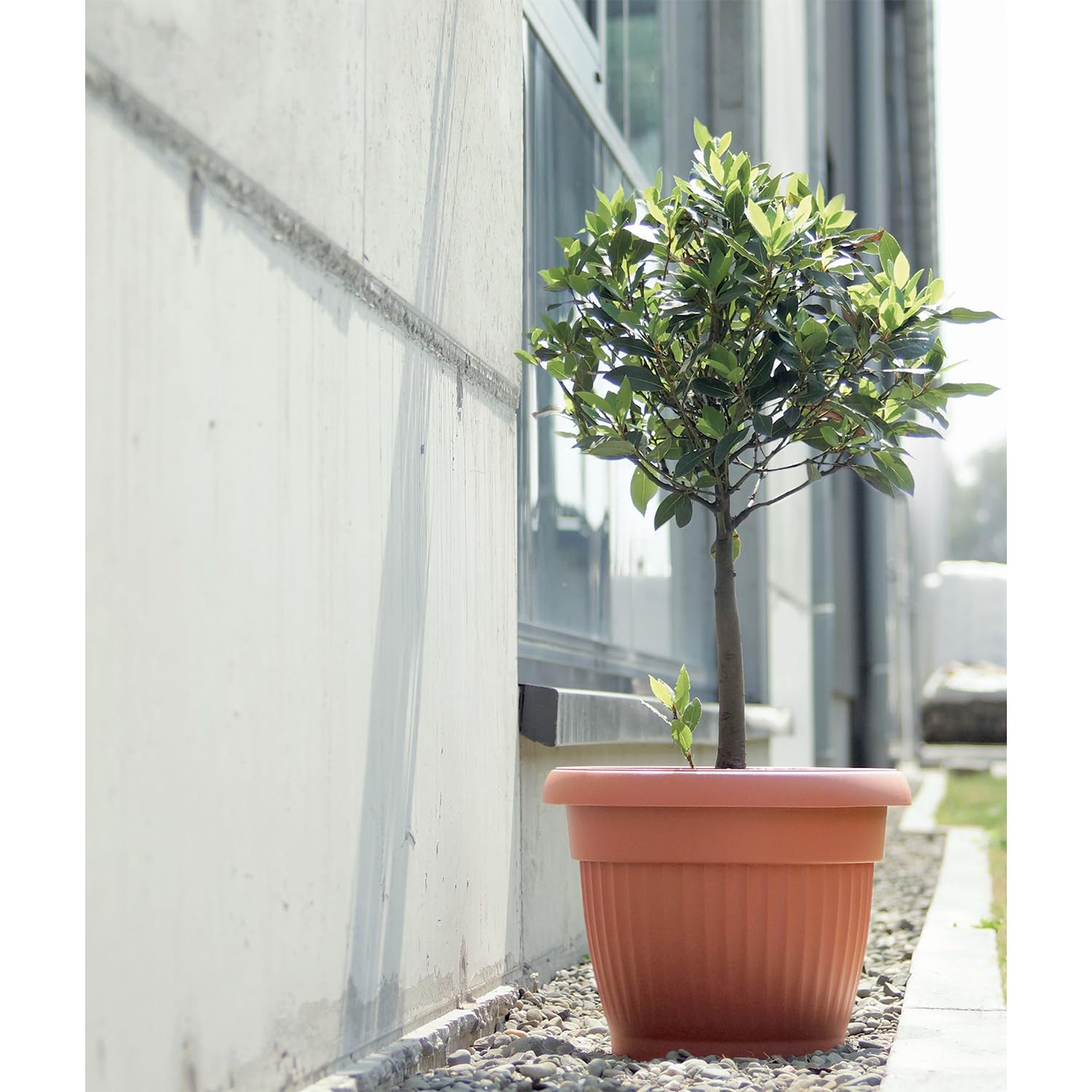 IMJ-Global DCE64 Terra Pot de fleurs rond Ø 64 cm pour intérieur et extérieur Terracotta 78 litres Ø 64 x 50 cm Design classique Jardinière en plastique pour balcon
