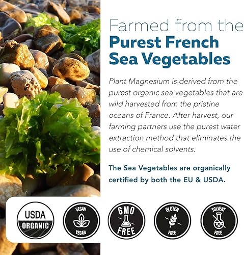Miniatura 6 de Suplemento orgánico de magnesio integral – Complejo vegetal orgánico a base de plantas – 250 mg por porción | Agua extraída | Suave para el estómago