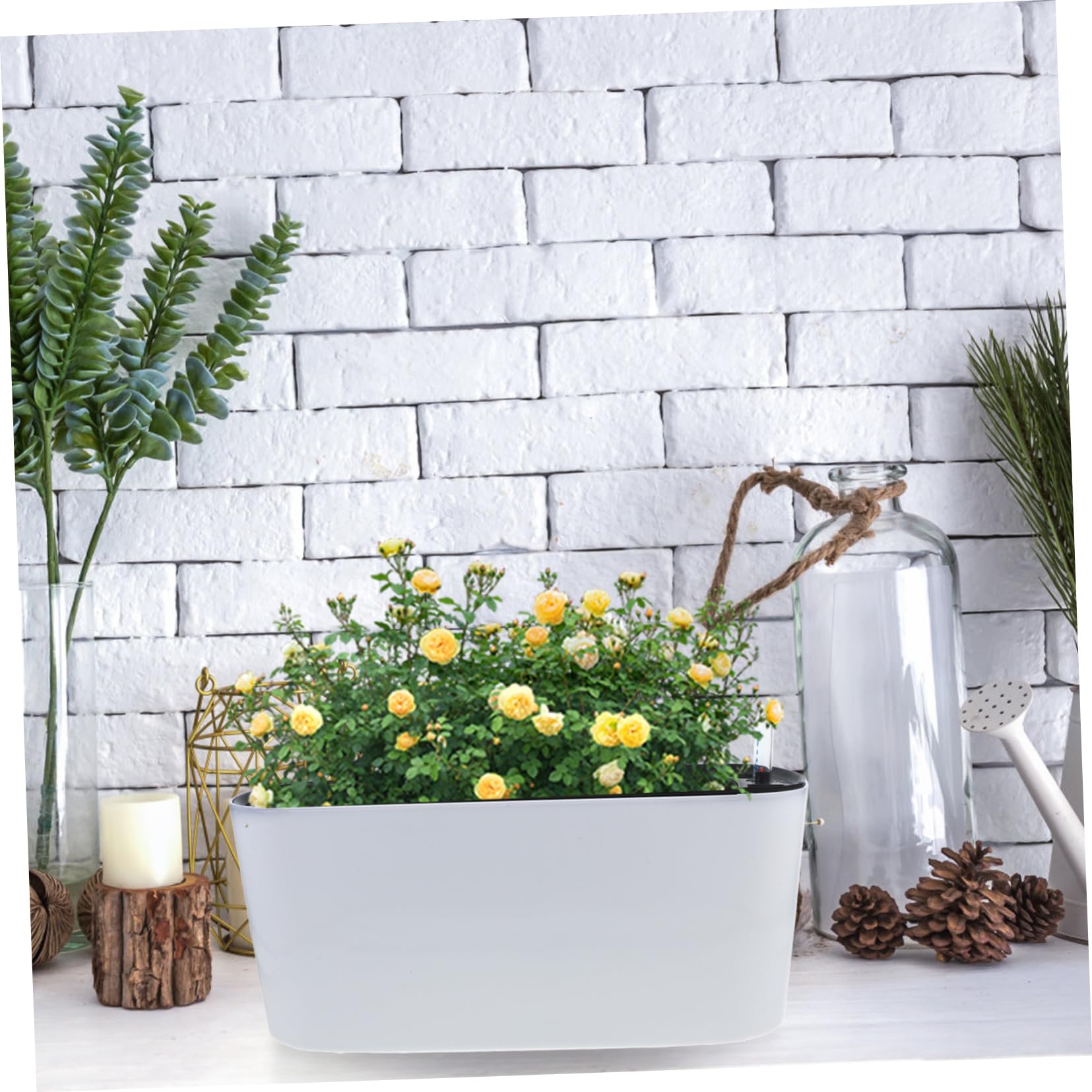 Happyyami Pot de Fleur à Arrosage Automatique Jauge D’Eau, Blanc