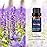 BURIBURI Lavender Essential Oil for Diffuser, Skin, Soap & Candle Making, 100% Pure Undiluted Natural Organic Lavender Aromatherapy Oils 10ml