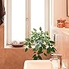 Product Photo 5