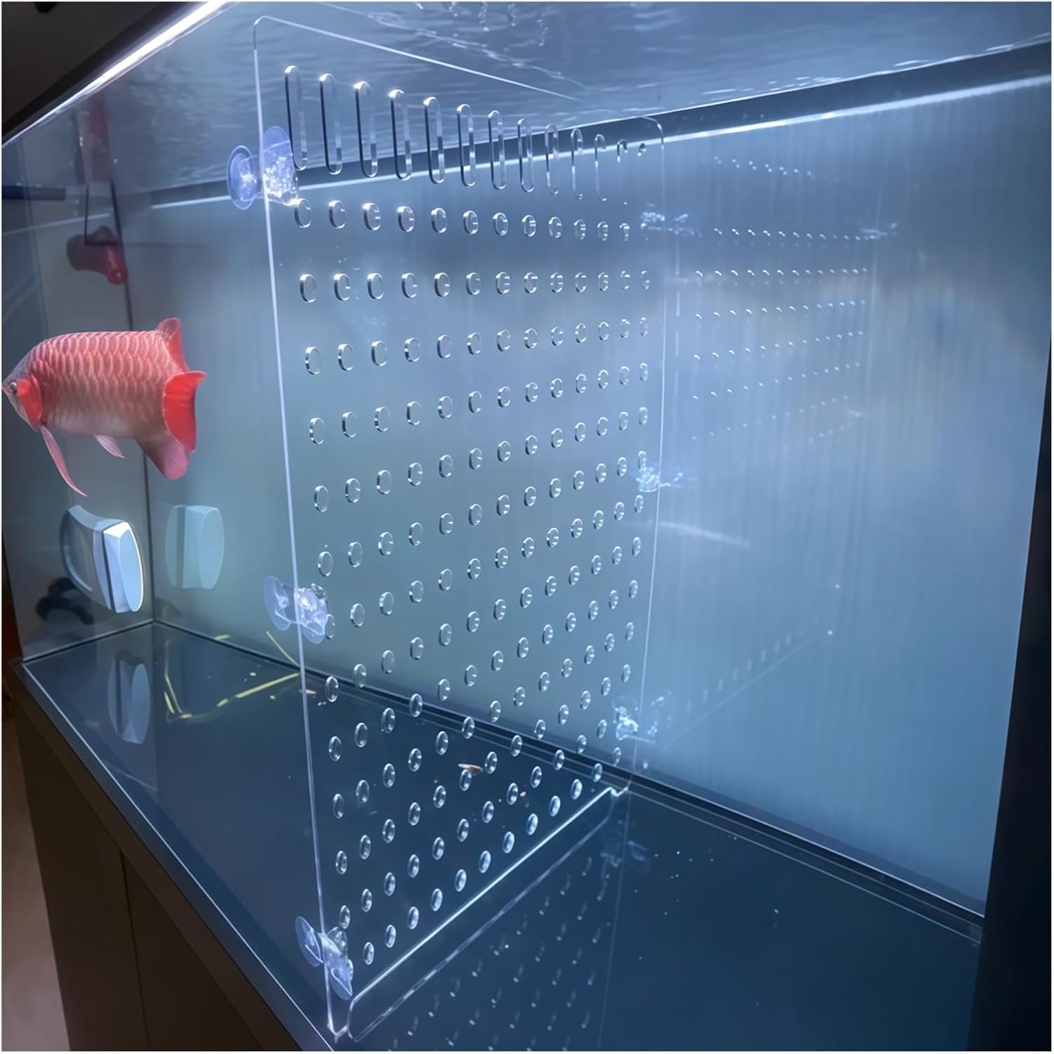 ERRULAN Transparent Acrylic Fish Tank Divider, 10/15/20/55/75 Gallon Aquarium Dividers with Adjustable Sheet Suction Cups, Fish Breeder Separator Board(L 15cm/5.9in,W 10cm/3.9in)