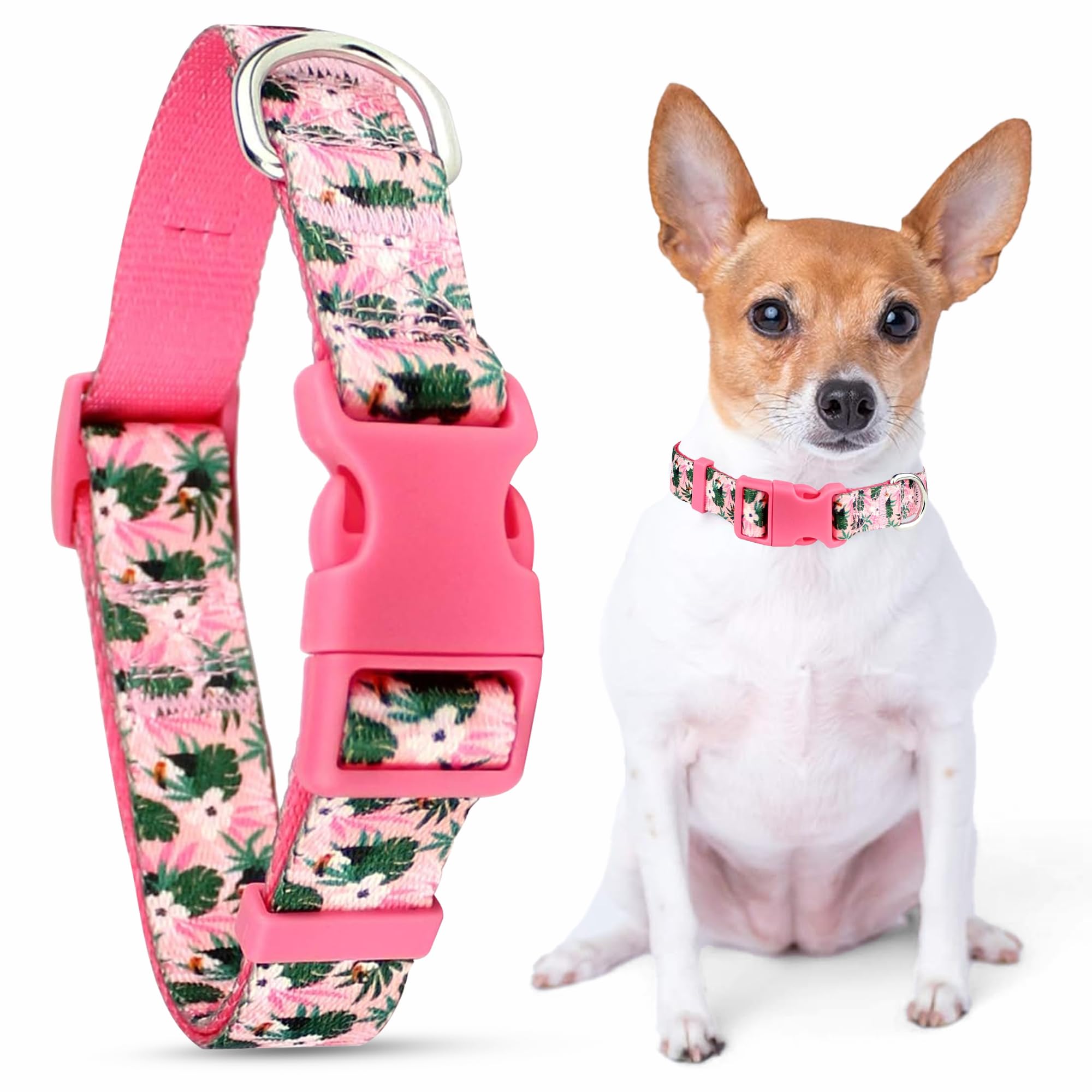 Parisian Pet Dog Collar - Adjustable “ Tropical Toucans “ Pattern Buckle Safety Girl Pet Collars for Dogs - Cute Puppy Collar - Nylon, Breathable