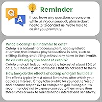 Vista 8 de 6 Pcs Catnip Ball Toys with Rubbing Shell, Lickable Roller Catnip Toys for Cats Chew, Edible and Refillable Kitten Toys, Teeth Cleaning Dental