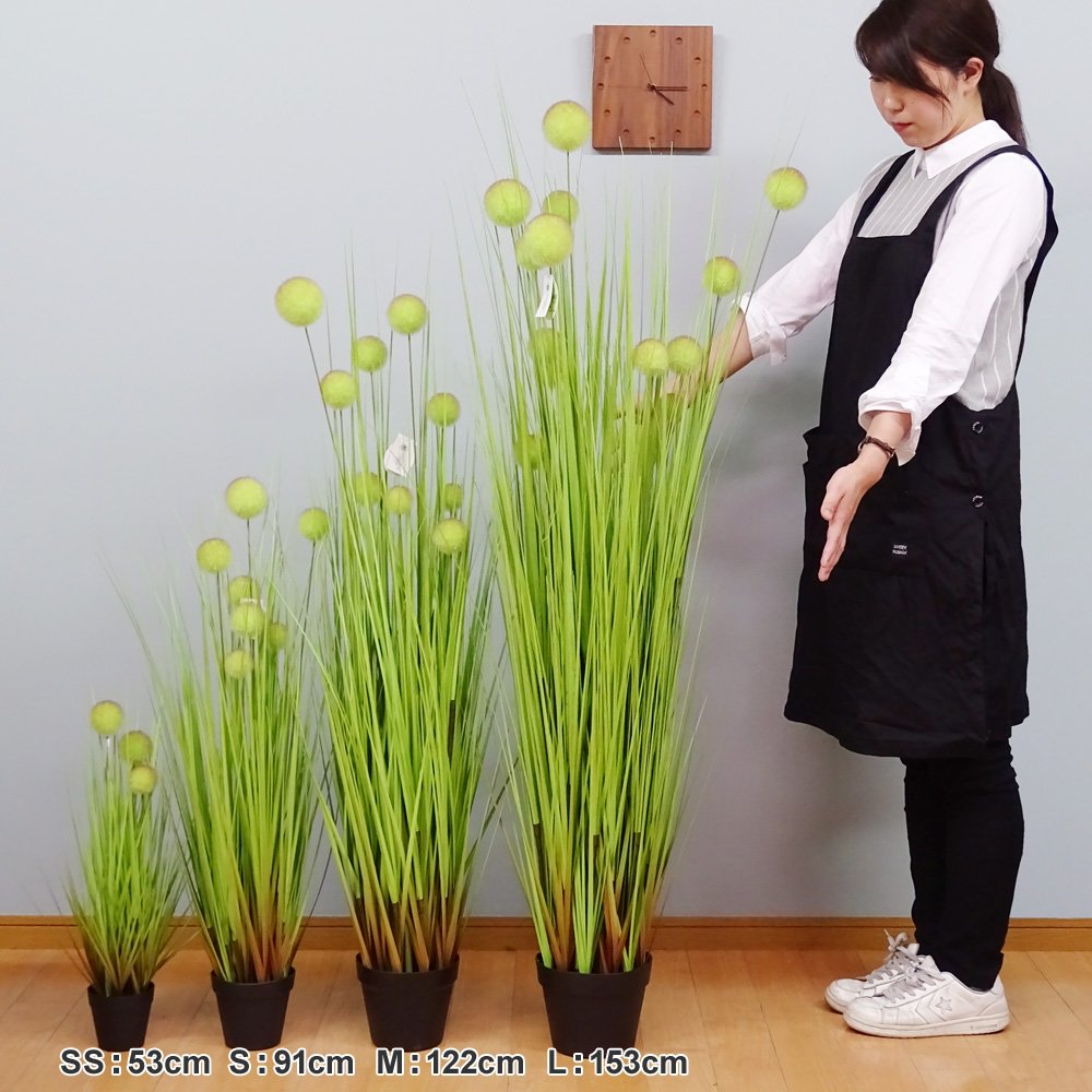 Amazon｜萩原 人工観葉植物 グリーン 約53cm｜人工観葉植物 オンライン通販