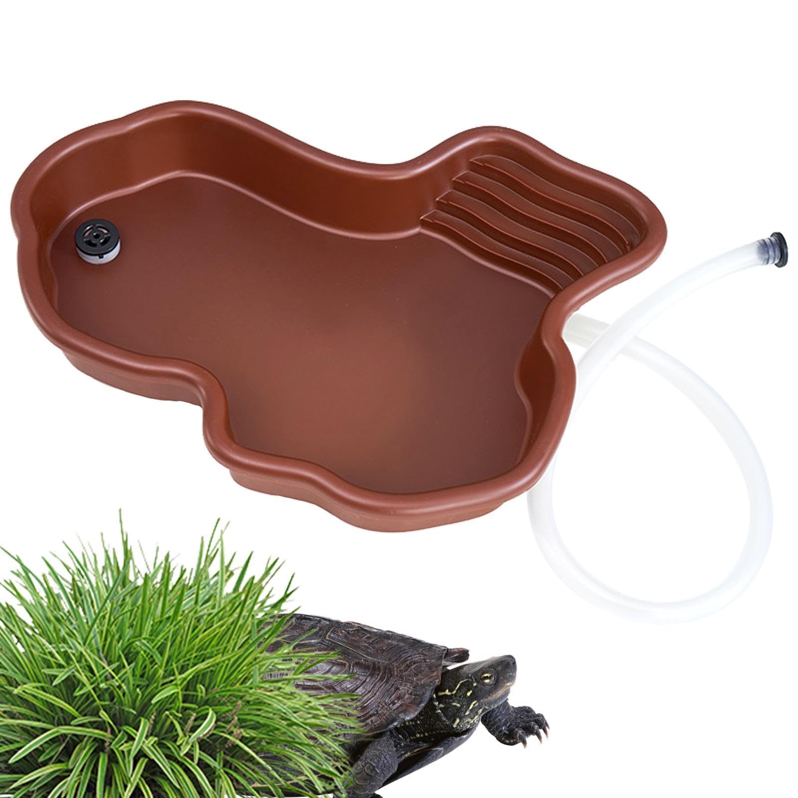 Bassin/piscine Avec Rampe Pour Tortue Terrestre - 35x28.5x4.3 Cm, Abreuvoir Et Bain, Pour Terrarium