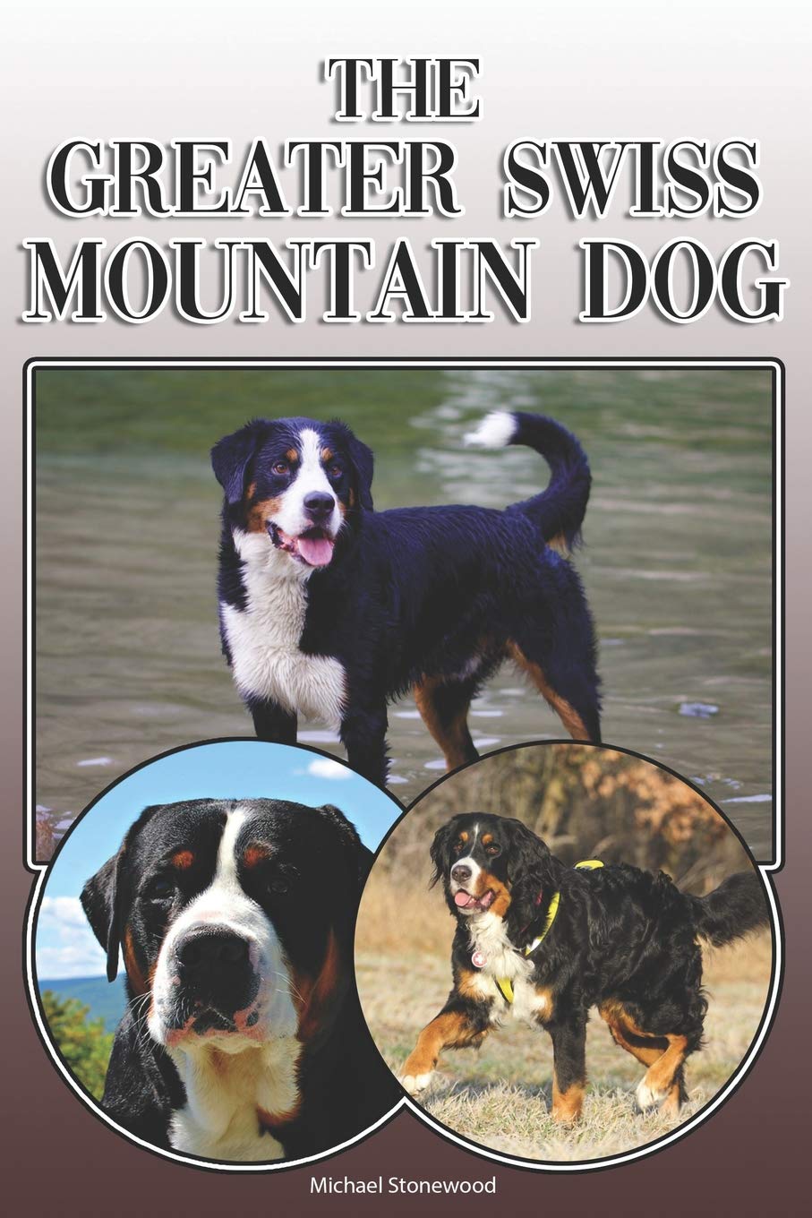The Greater Swiss Mountain Dog: A Complete and Comprehensive Owners Guide To: Buyi