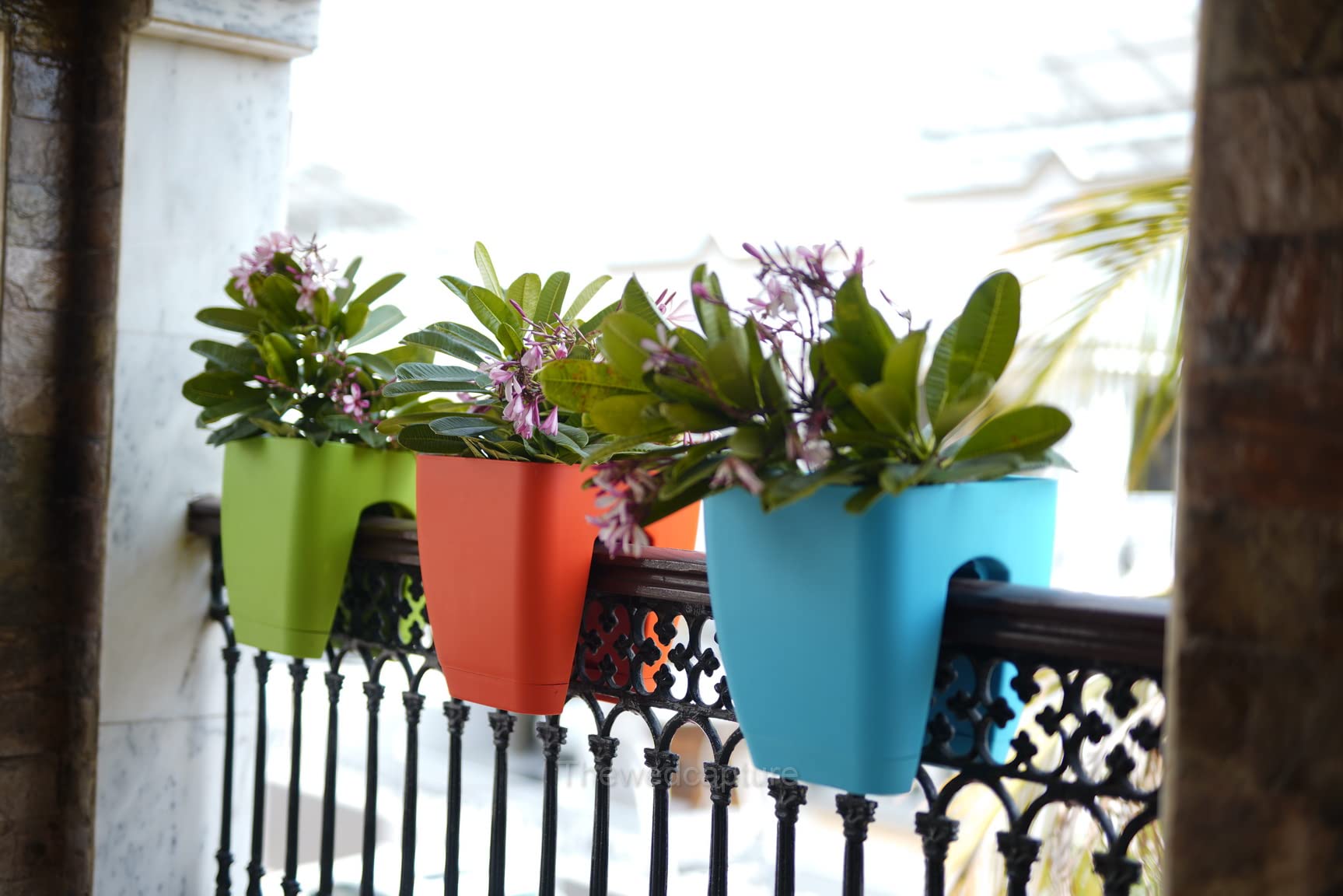 Garbnoire Railing Hanging Flower Pots, Balcony Garden Pots Fence Hanging Bucket Pots, Flower Holders, Indoor/Outdoor Hanging Rail Planter, Patio, Deck, Balcony, Garden- Set of (3, (Green+Orange+Aqua))