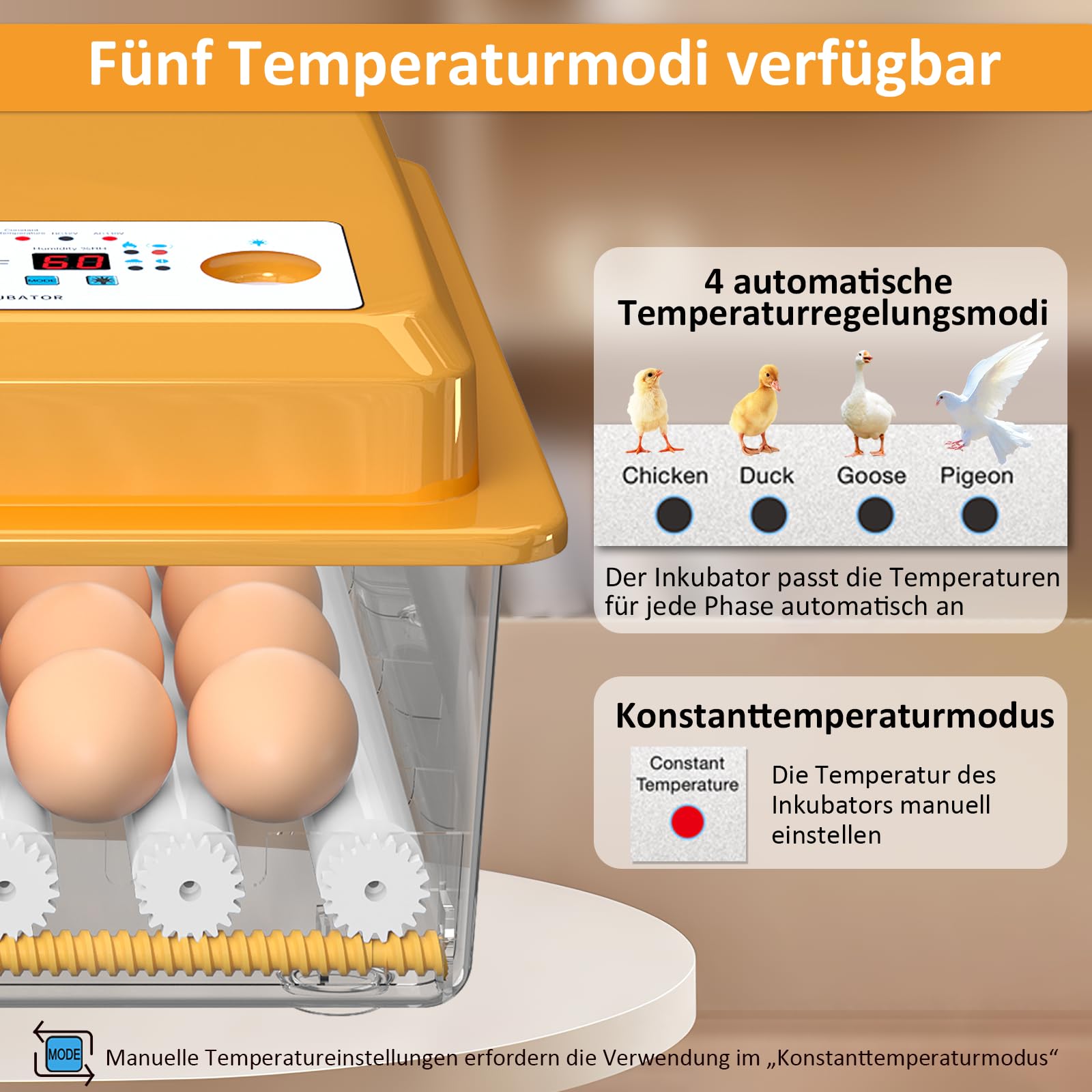 Brutautomat Vollautomatisch 36 Eier mit Temperaturregelung, Brutmaschine mit 5 automatischen Brutmodi, Inkubator Feuchtigkeitsanzeige, Brutkasten automatischer Wasserauffüllung und Eierwende