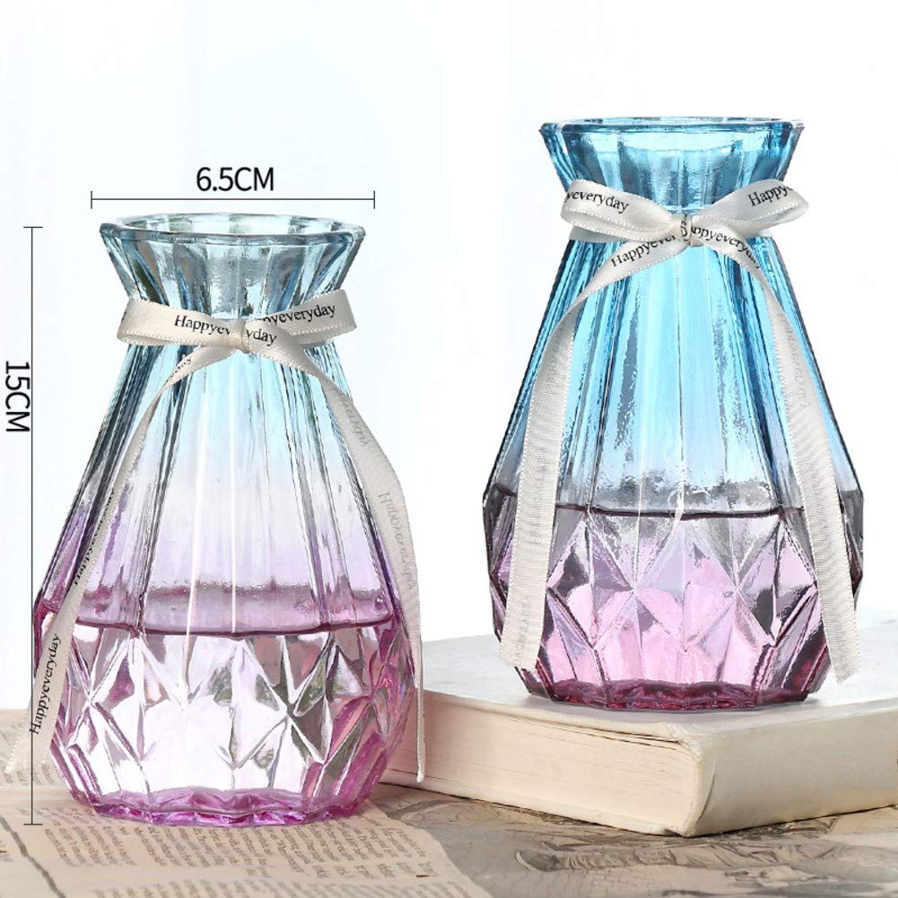 Two Glass Flower Vases A Pair Of Decorative Vases European Transparent Water Planting Vase Decorative Flower Vase Home Décor Dinner Table Centerpieces Vase-a