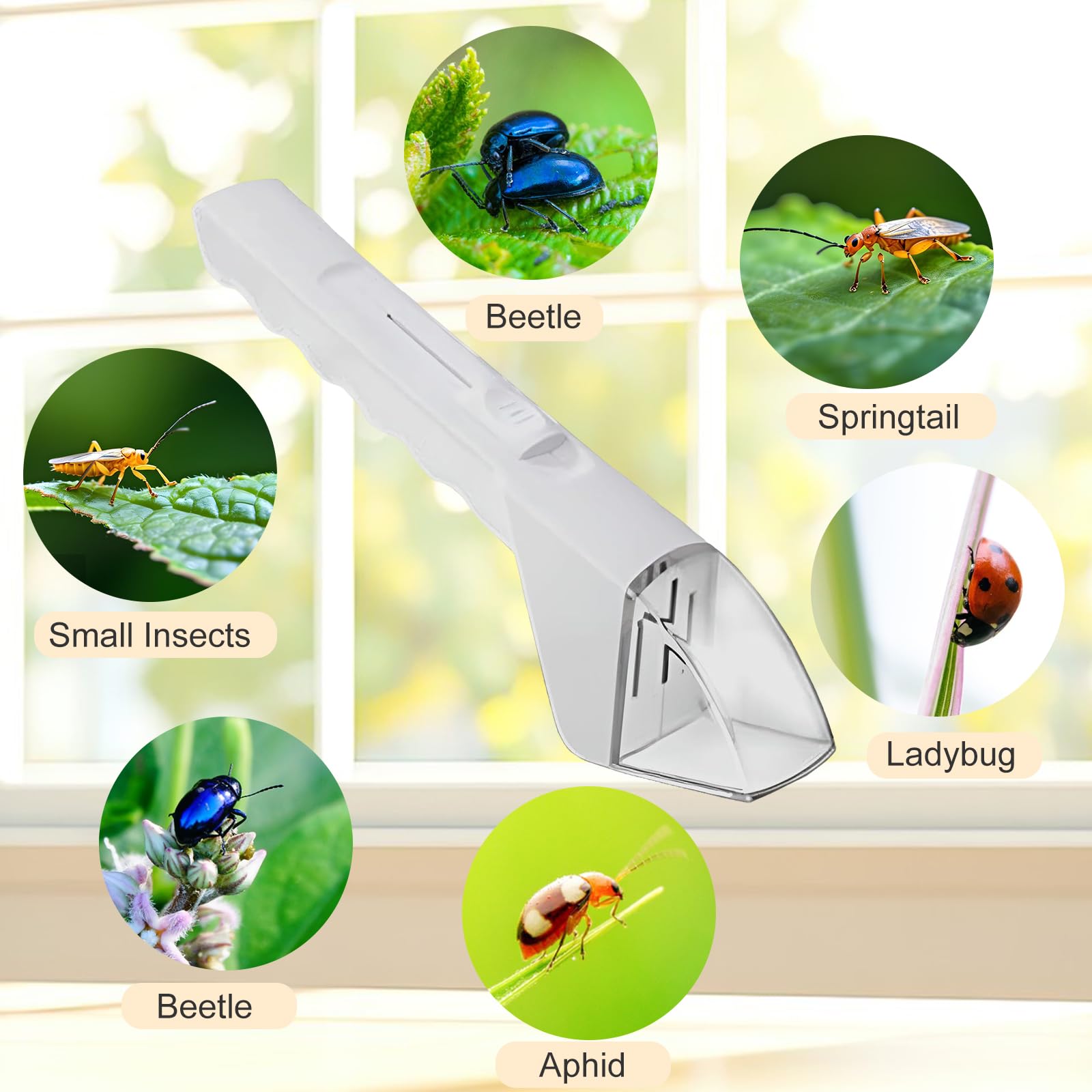 Attrape Araignée, Attrape Insectes Vivants, Attrape-araignée à Long Manche, Outil D'Attrape-Insectes, Pièges à Araignées, Piège à Araignées | Leroy Merlin