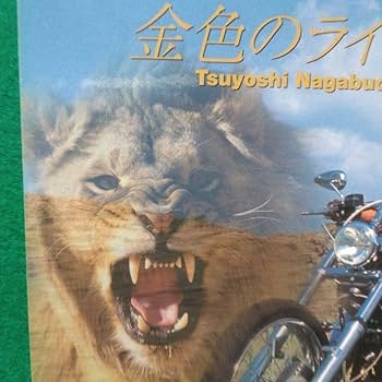 激レア！長渕剛「金色のライオン 桜島」B2告知ポスター新品 61s+cSvAflL._UF350,350_QL50_.jpg